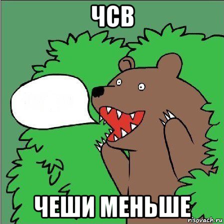 чсв чеши меньше, Мем Медведь-шлюха