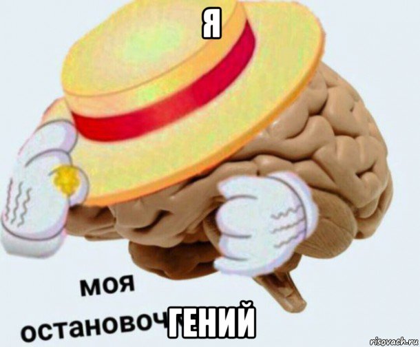 я гений, Мем   Моя остановочка мозг