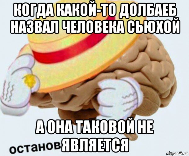 когда какой-то долбаеб назвал человека сьюхой а она таковой не является, Мем   Моя остановочка мозг