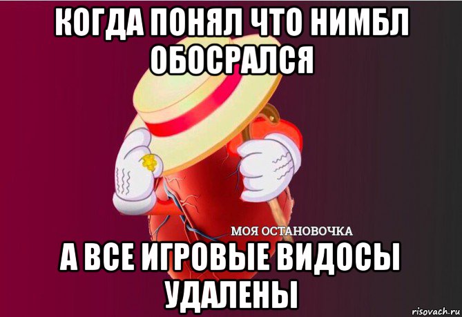 когда понял что нимбл обосрался а все игровые видосы удалены, Мем   Моя остановочка