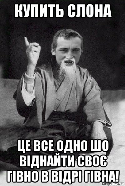 купить слона це все одно шо віднайти своє гівно в відрі гівна!, Мем Мудрий паца