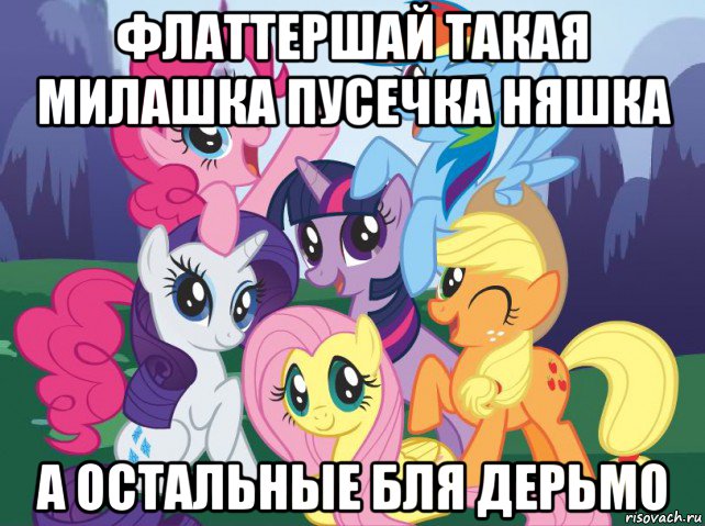 флаттершай такая милашка пусечка няшка а остальные бля дерьмо, Мем My little pony