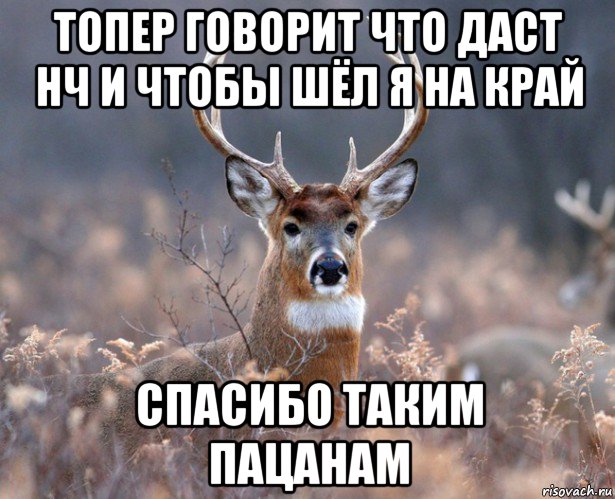 топер говорит что даст нч и чтобы шёл я на край спасибо таким пацанам, Мем   Наивный олень