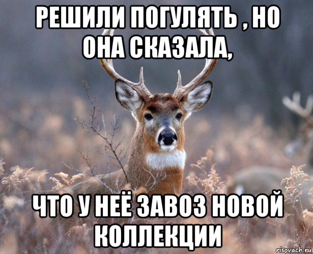 решили погулять , но она сказала, что у неё завоз новой коллекции, Мем   Наивный олень