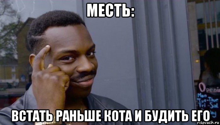 месть: встать раньше кота и будить его, Мем Не делай не будет