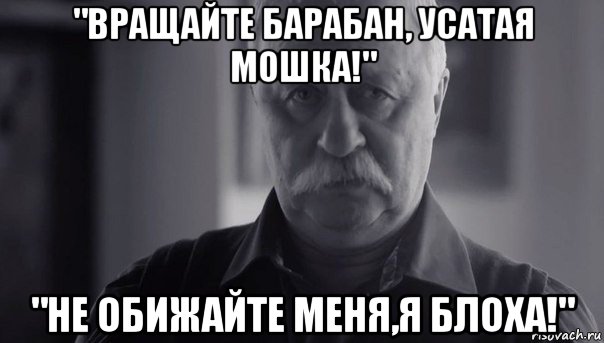 "вращайте барабан, усатая мошка!" "не обижайте меня,я блоха!", Мем Не огорчай Леонида Аркадьевича