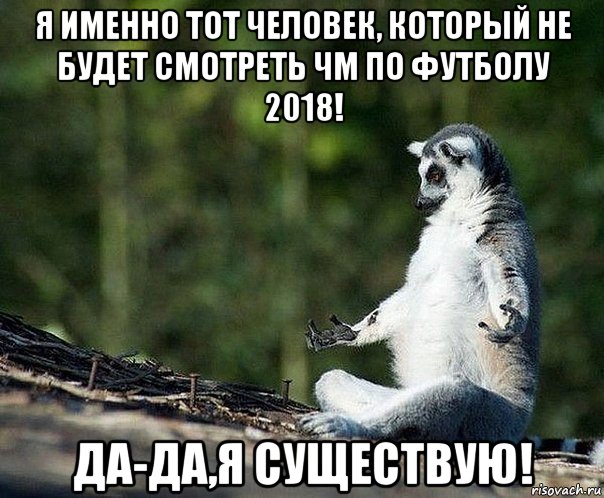 я именно тот человек, который не будет смотреть чм по футболу 2018! да-да,я существую!