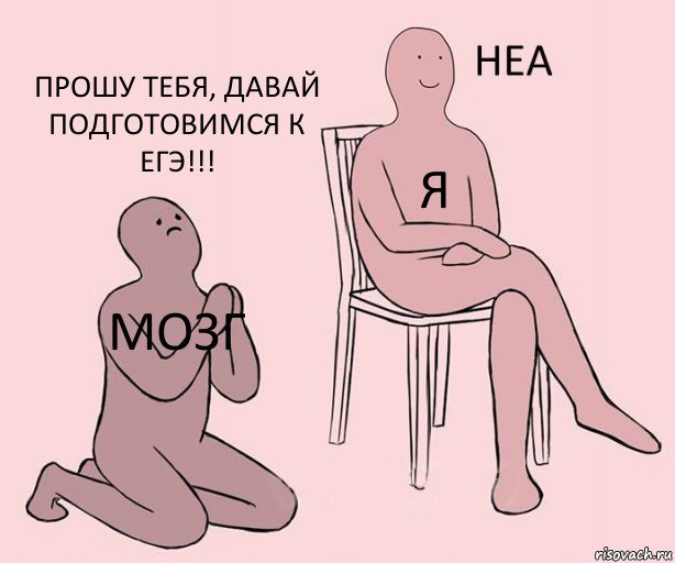 мозг Я Прошу тебя, давай подготовимся к егэ!!!