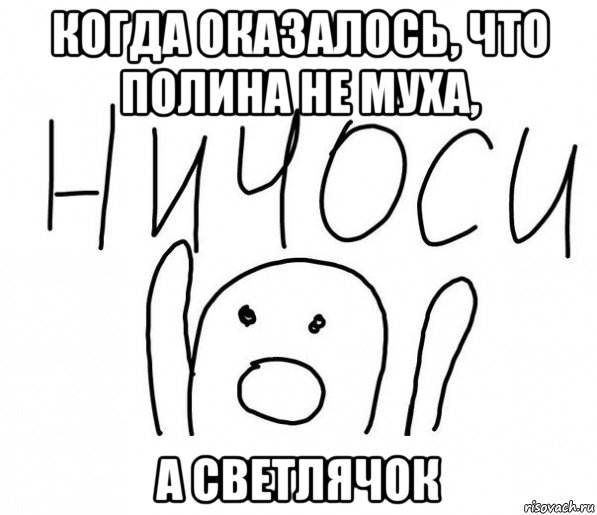 когда оказалось, что полина не муха, а светлячок, Мем  Ничоси