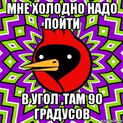 мне холодно надо пойти в угол ,там 90 градусов, Мем Омская птица