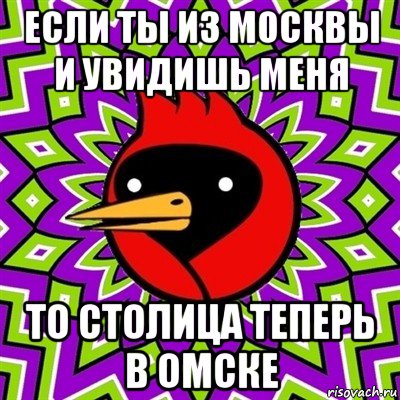 если ты из москвы и увидишь меня то столица теперь в омске, Мем Омская птица