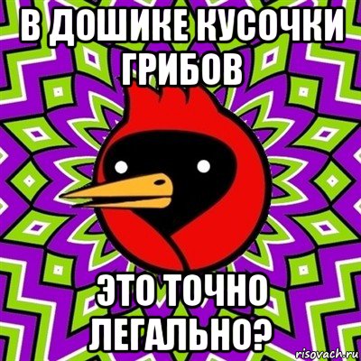 в дошике кусочки грибов это точно легально?, Мем Омская птица