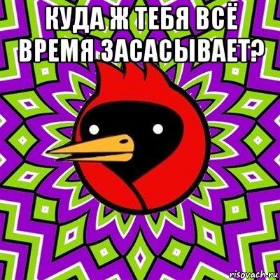 куда ж тебя всё время засасывает? , Мем Омская птица