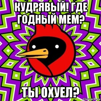 кудрявый! где годный мем? ты охуел?, Мем Омская птица