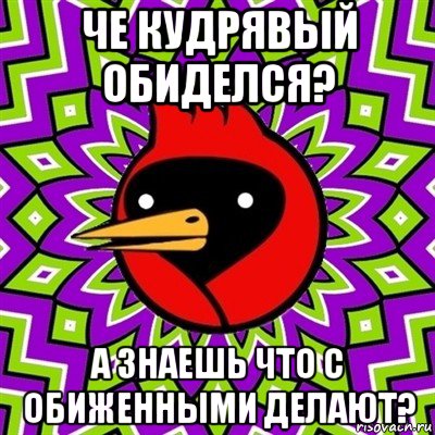 че кудрявый обиделся? а знаешь что с обиженными делают?, Мем Омская птица