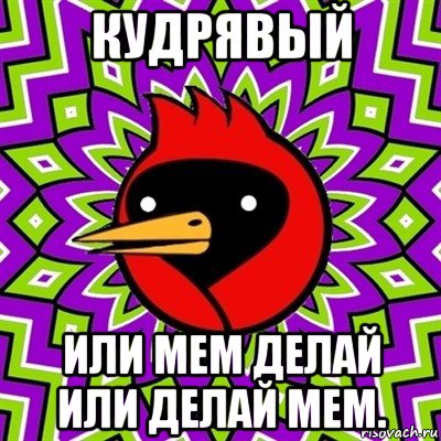 кудрявый или мем делай или делай мем., Мем Омская птица