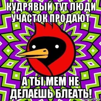 кудрявый тут люди участок продают а ты мем не делаешь блеать!, Мем Омская птица