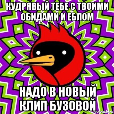 кудрявый тебе с твоими обидами и еблом надо в новый клип бузовой, Мем Омская птица