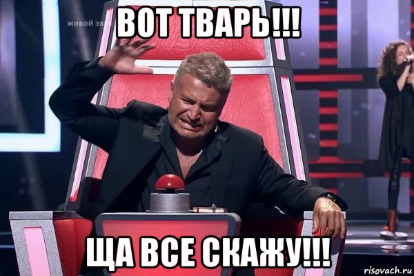 вот тварь!!! ща все скажу!!!, Мем   Отчаянный Агутин