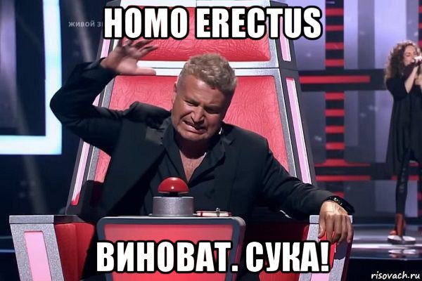 homo erectus виноват. сука!, Мем   Отчаянный Агутин