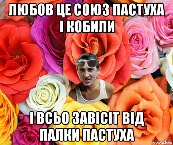 любов це союз пастуха і кобили і всьо завісіт від палки пастуха, Мем  пацанчо