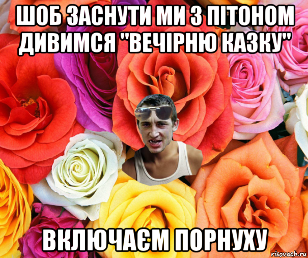 шоб заснути ми з пітоном дивимся "вечірню казку" включаєм порнуху, Мем  пацанчо