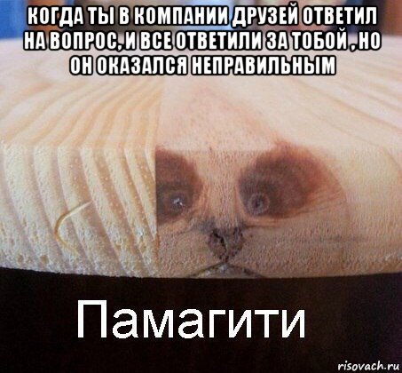 когда ты в компании друзей ответил на вопрос, и все ответили за тобой , но он оказался неправильным , Мем   Памагити