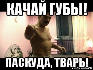 качай губы! паскуда, тварь!, Мем Паскуда тварь