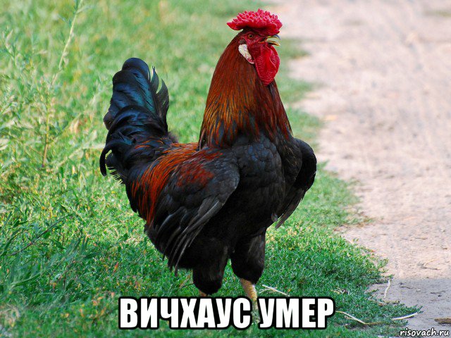  вичхаус умер