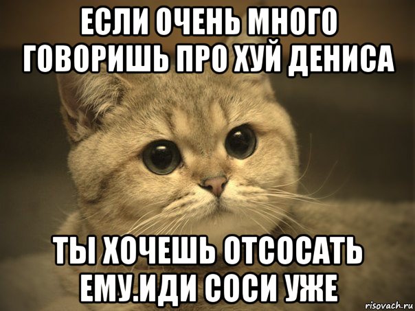 если очень много говоришь про хуй дениса ты хочешь отсосать ему.иди соси уже, Мем Пидрила ебаная котик