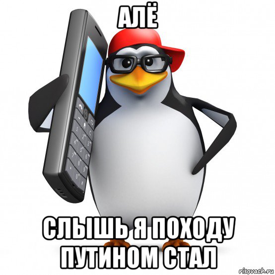 алё слышь я походу путином стал, Мем   Пингвин звонит