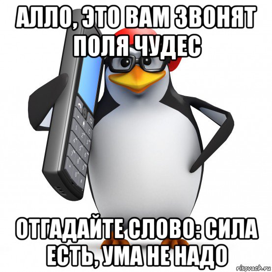 алло, это вам звонят поля чудес отгадайте слово: сила есть, ума не надо, Мем   Пингвин звонит