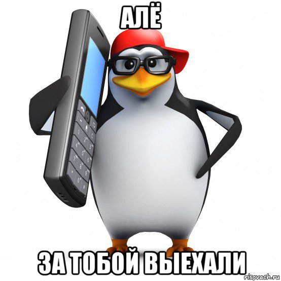 алё за тобой выехали, Мем   Пингвин звонит