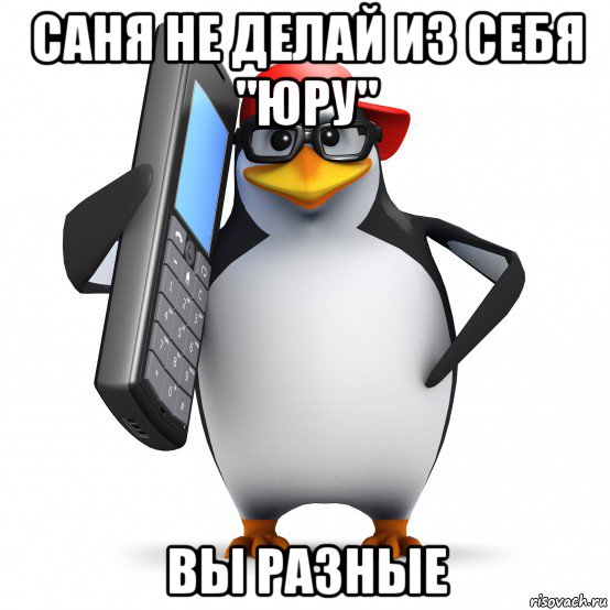 саня не делай из себя "юру" вы разные, Мем   Пингвин звонит