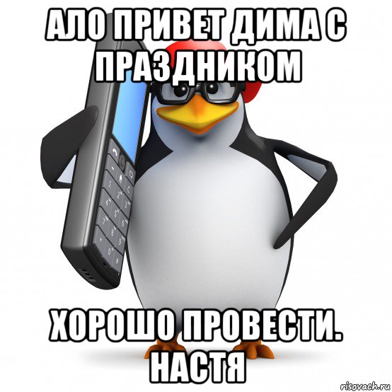 ало привет дима с праздником хорошо провести. настя, Мем   Пингвин звонит