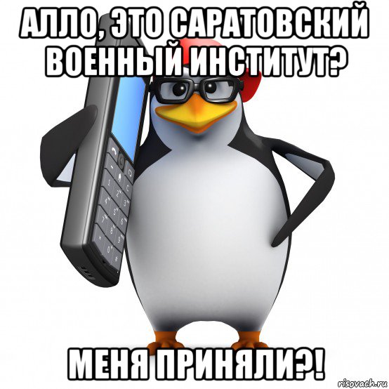 алло, это саратовский военный институт? меня приняли?!, Мем   Пингвин звонит