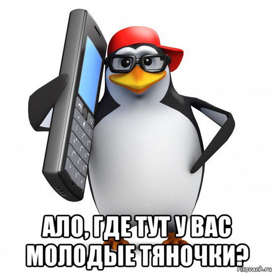  ало, где тут у вас молодые тяночки?, Мем   Пингвин звонит