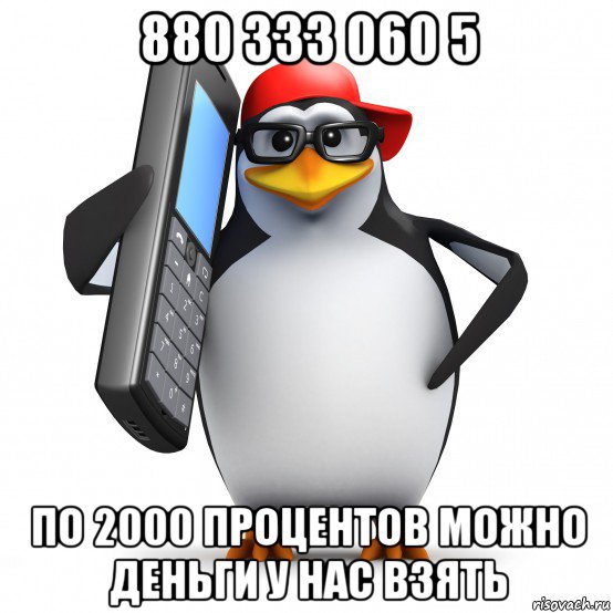 880 333 060 5 по 2000 процентов можно деньги у нас взять, Мем   Пингвин звонит