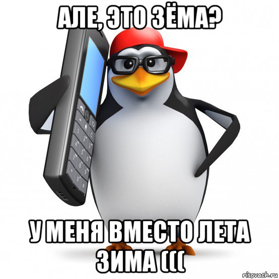 але, это зёма? у меня вместо лета зима (((, Мем   Пингвин звонит