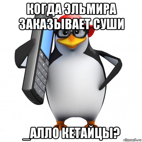 когда эльмира заказывает суши _алло кетайцы?, Мем   Пингвин звонит