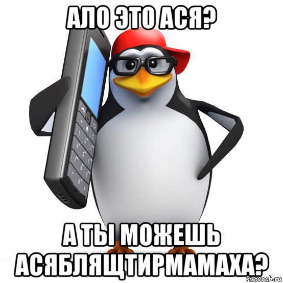 ало это ася? а ты можешь асяблящтирмамаха?, Мем   Пингвин звонит