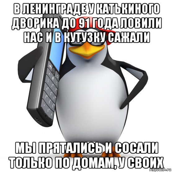 в ленинграде у катькиного дворика до 91 года ловили нас и в кутузку сажали мы прятались и сосали только по домам, у своих, Мем   Пингвин звонит