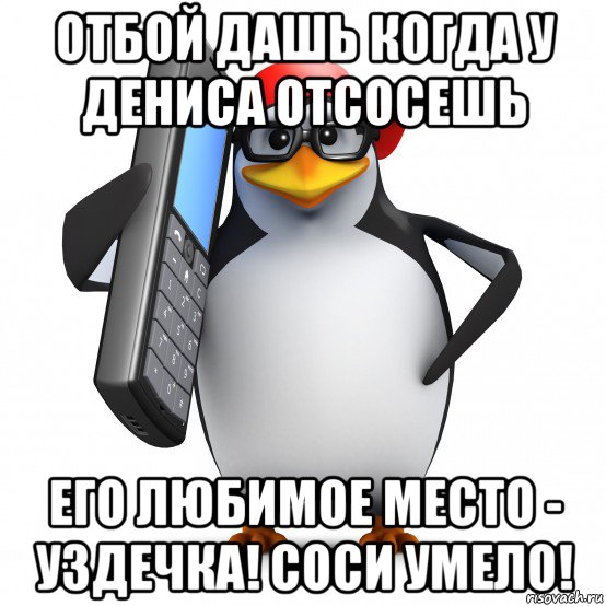 отбой дашь когда у дениса отсосешь его любимое место - уздечка! соси умело!, Мем   Пингвин звонит