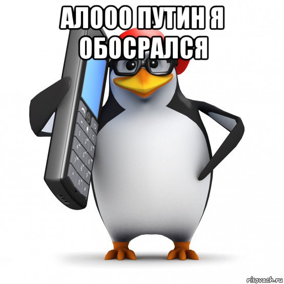 алооо путин я обосрался , Мем   Пингвин звонит