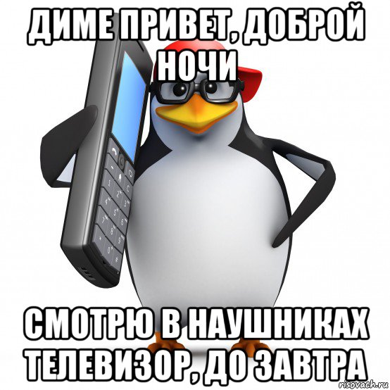 диме привет, доброй ночи смотрю в наушниках телевизор, до завтра, Мем   Пингвин звонит