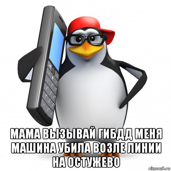  мама вызывай гибдд меня машина убила возле линии на остужево, Мем   Пингвин звонит