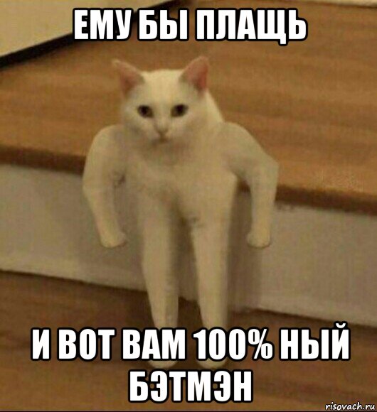 ему бы плащь и вот вам 100% ный бэтмэн, Мем  Полукот