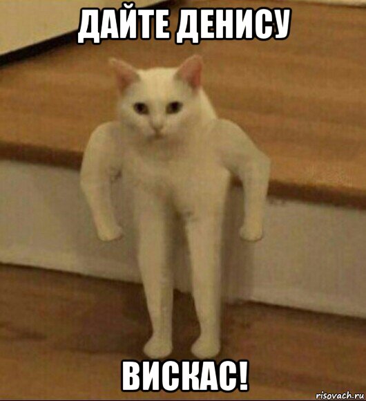 дайте денису вискас!, Мем  Полукот