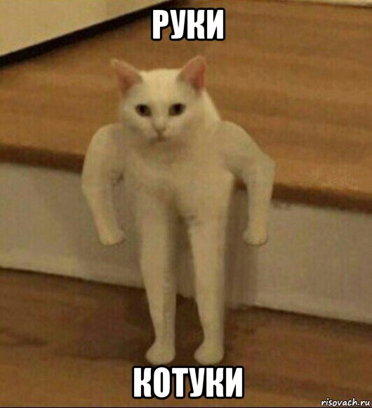 руки котуки