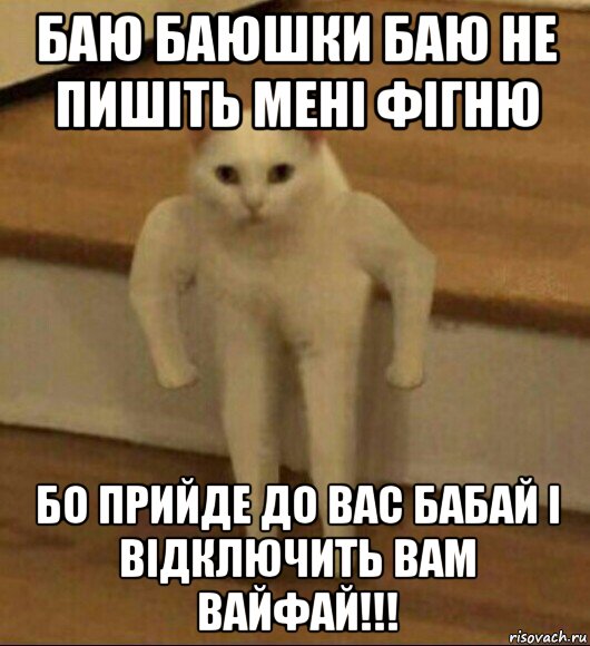 баю баюшки баю не пишіть мені фігню бо прийде до вас бабай і відключить вам вайфай!!!, Мем  Полукот